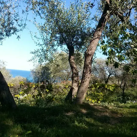 In Fra Gli Ulivi Imperia