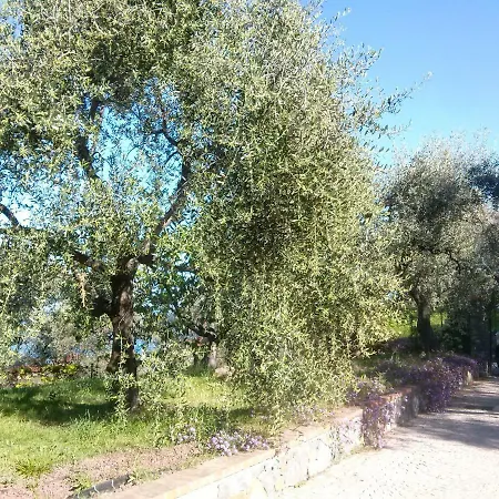 Prázdninový dům In Fra Gli Ulivi