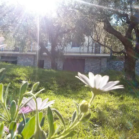 In Fra Gli Ulivi